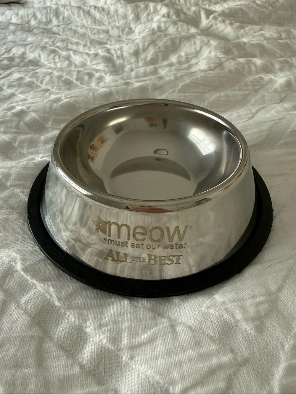 New cat dish